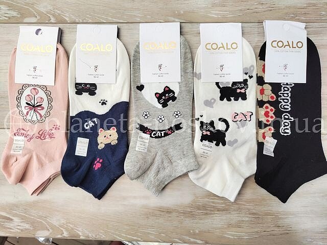 Носки женские, хлопковые «COALO» принт "Котики", короткие, BM6756.