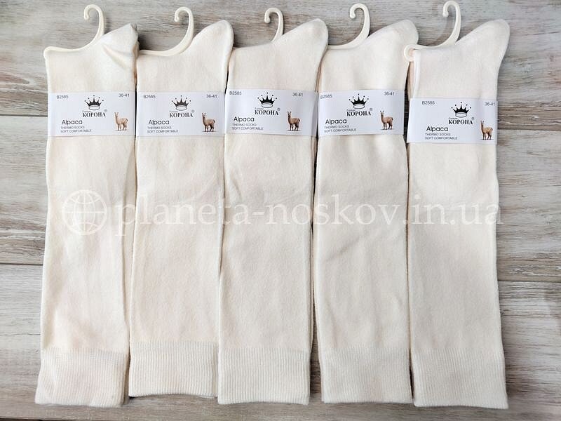 Гольфы (подколенки) женские из шерсти альпаки ТМ «Корона» без махры (тонкая шерсть), гладкой вязки, молочные, BY2585-3.
