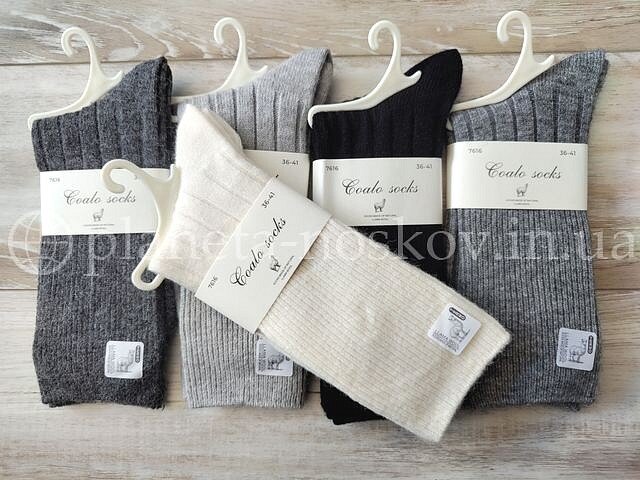 Носки женские из шерсти ламы ТМ «COALO» без махры, однотонные, РУБЧИК, BK7616.