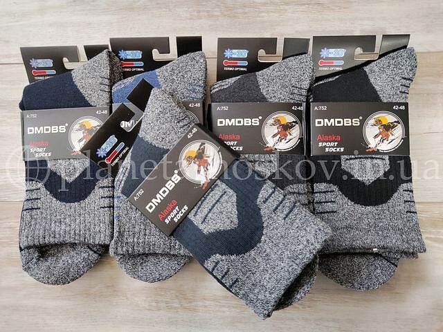 Термо носки мужские ТМ «DMDBS» махровые внутри, "ALASKA", ассорти, A752.