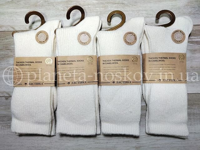 Высокие кашемировые носки ТМ «ЛАСТІВКА» однотонные, гладкой вязки, плотные, молочные, C1072-9.