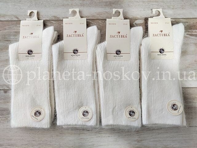 Носки женские из шерсти ангоры ТМ «ЛАСТІВКА» без махры, молочные, C618.