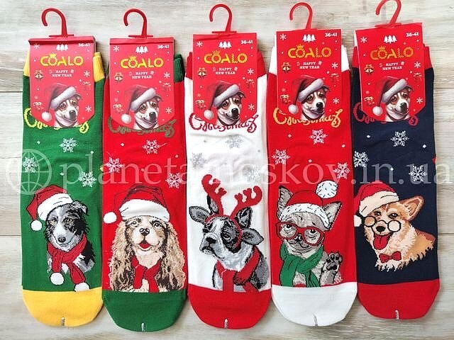 Женские новогодние носки ТМ «Coalo» из качественного хлопка "Собачки", BM6325.