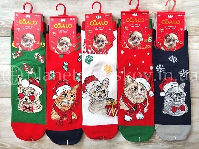 Женские новогодние носки ТМ «Coalo» из качественного хлопка, принты "КОТИКИ", BM6326.
