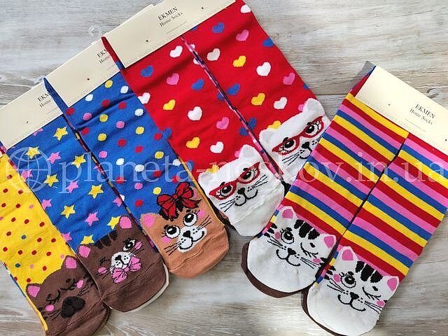 Носки турецкие женские хлопковые ТМ "EKMEN original с принтами "Котики".
