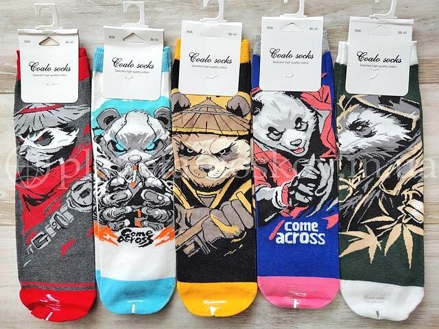 Носки подростковые хлопковые ТМ "COALO" средней высоты, с ярким принтом панды "Come across", BM906.