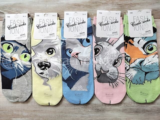 Носки женские хлопковые ТМ «COALO» с красивым принтом "Мордяшки", короткие, BM735.