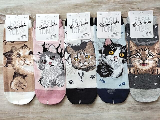 Носки женские хлопковые ТМ «COALO» с красивым принтом "Котята", короткие, BM725.