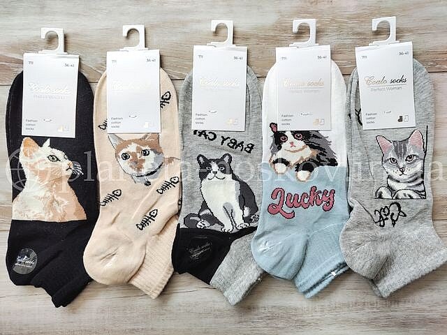 Носки женские хлопковые ТМ «COALO» принт "Котики", короткие, BM711.