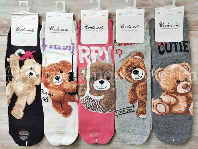 Носки женские хлопковые ТМ "COALO" средней высоты, с красивым принтом "Мишки", BM903.