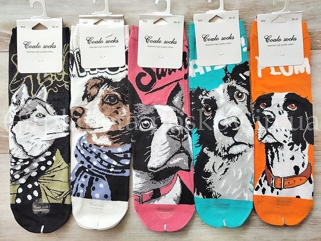 Носки женские хлопковые ТМ "COALO" средней высоты, с красивым принтом "Собаки", BM902.