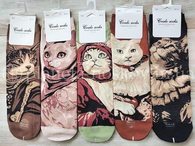 Носки женские хлопковые ТМ "COALO" средней высоты, с красивым принтом "Кошки", BM900.