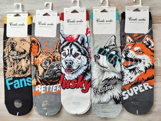 Носки женские хлопковые ТМ "COALO" средней высоты, с красивым принтом "Собачки", BM905.
