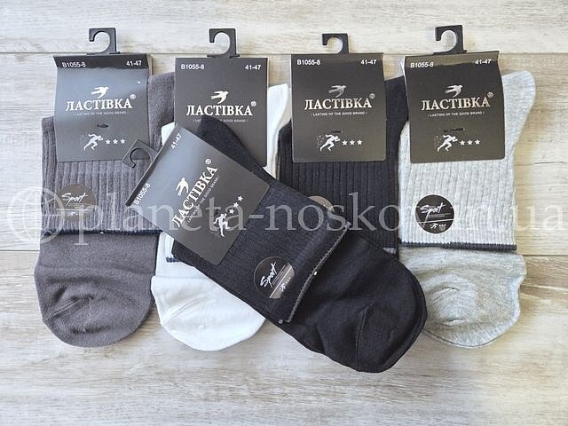 Носки мужские хлопковые ТМ «ЛАСТІВКА» средней высоты с высокой резинкой, ассорти, B1055-8.