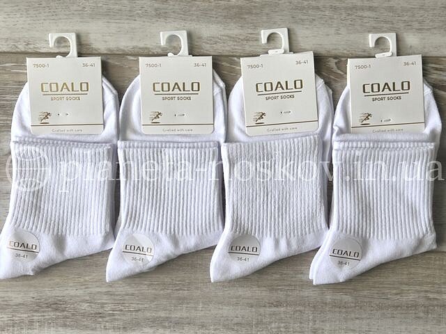 Носки женские хлопковые ТМ «COALO» однотонные с высокой резинкой, средней высоты, беліе, BY7500-1.