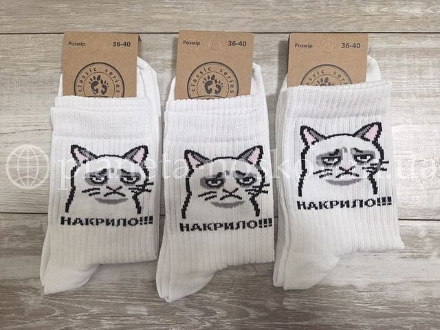 Прикольные женские носки ТМ «Шкарпеткофф» с принтом котика и надписью «Накрило», белые.